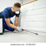 pest-control-worker-spraying-insecticide-260nw-2173814547