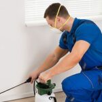 questions-termites-pest-control-dubai-450x250